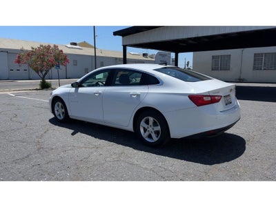 2020 Chevrolet Malibu FL
